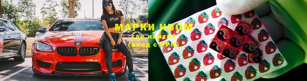 прущий лед Богданович