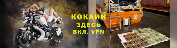 прущий лед Богданович