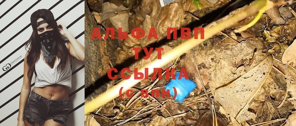 прущий лед Богданович