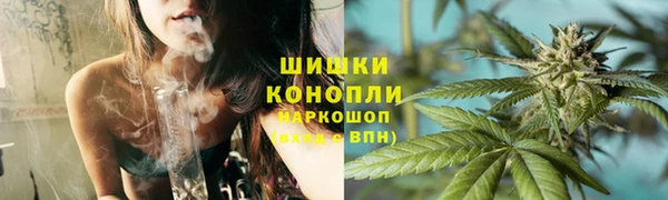 прущий лед Богданович