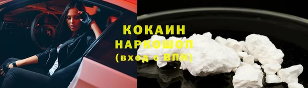 бошки Белокуриха