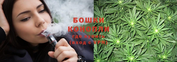 прущий лед Богданович