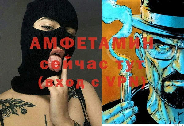 прущий лед Богданович