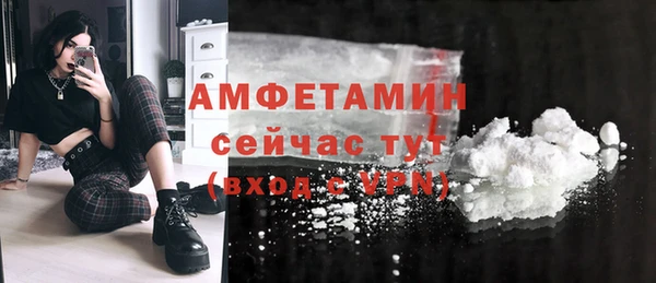 прущий лед Богданович